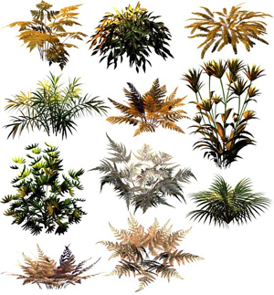 Месяц - лунный