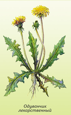 Месяц - лунный