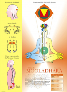 Муладхара (muladhara) чакра и болезни
