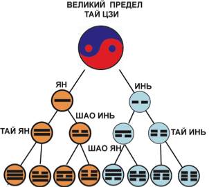 Законы Ян-Инь