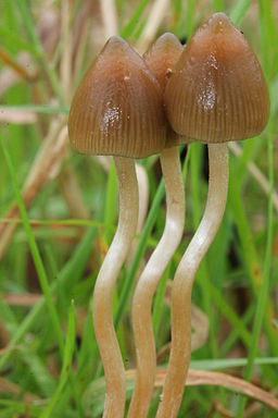 Stacks Image 4764