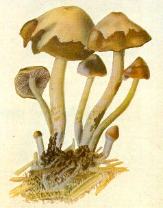 derrumbe